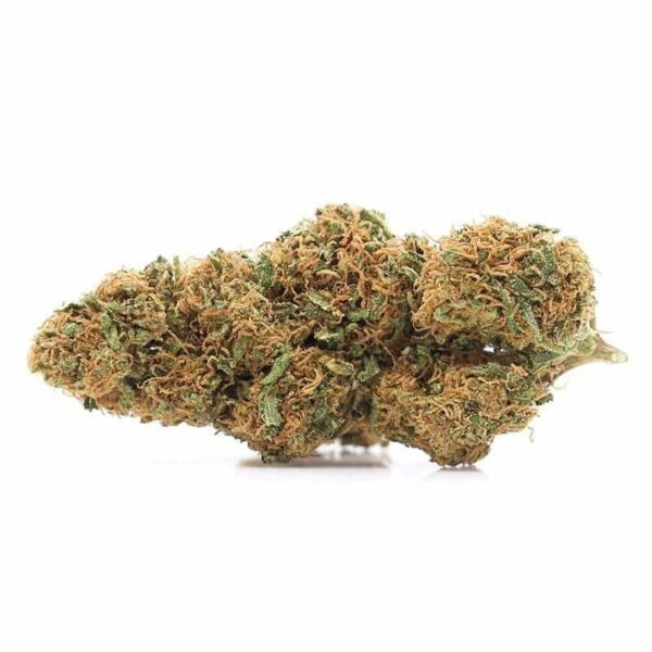Girl Scoot Cookie