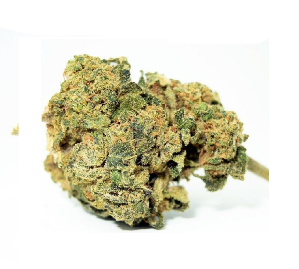 Gelato