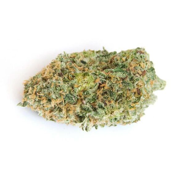 Orange Bud